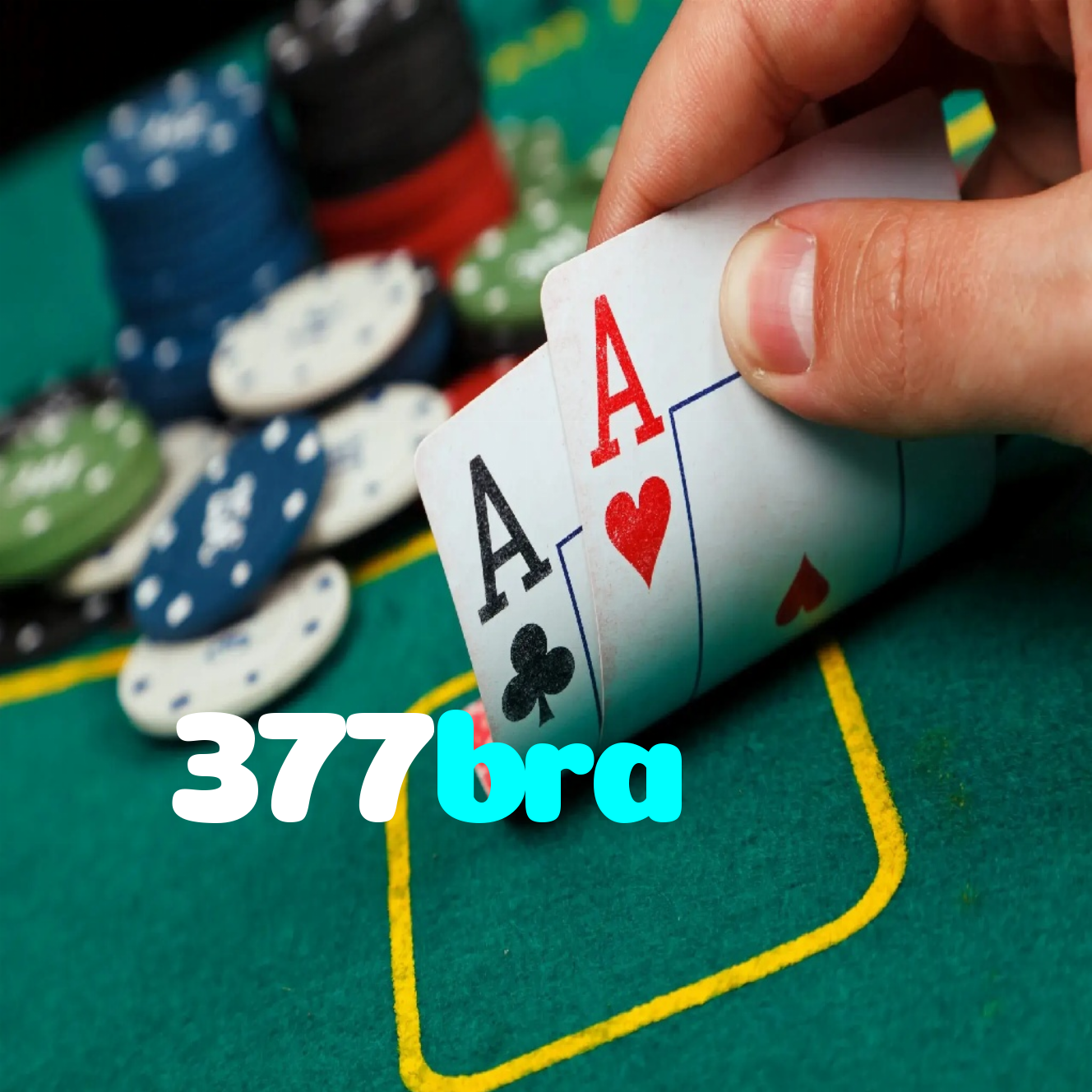 377bra