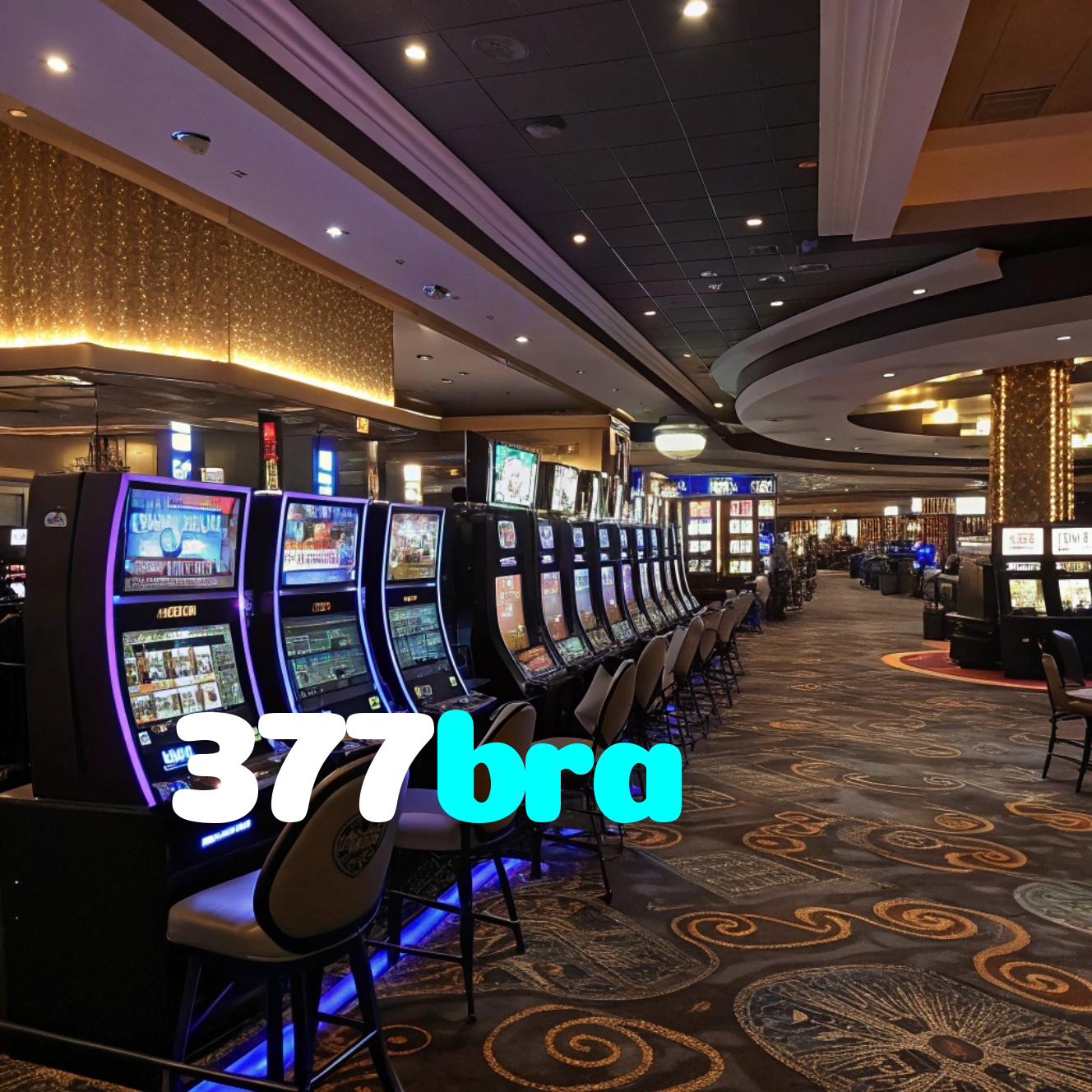 377bra