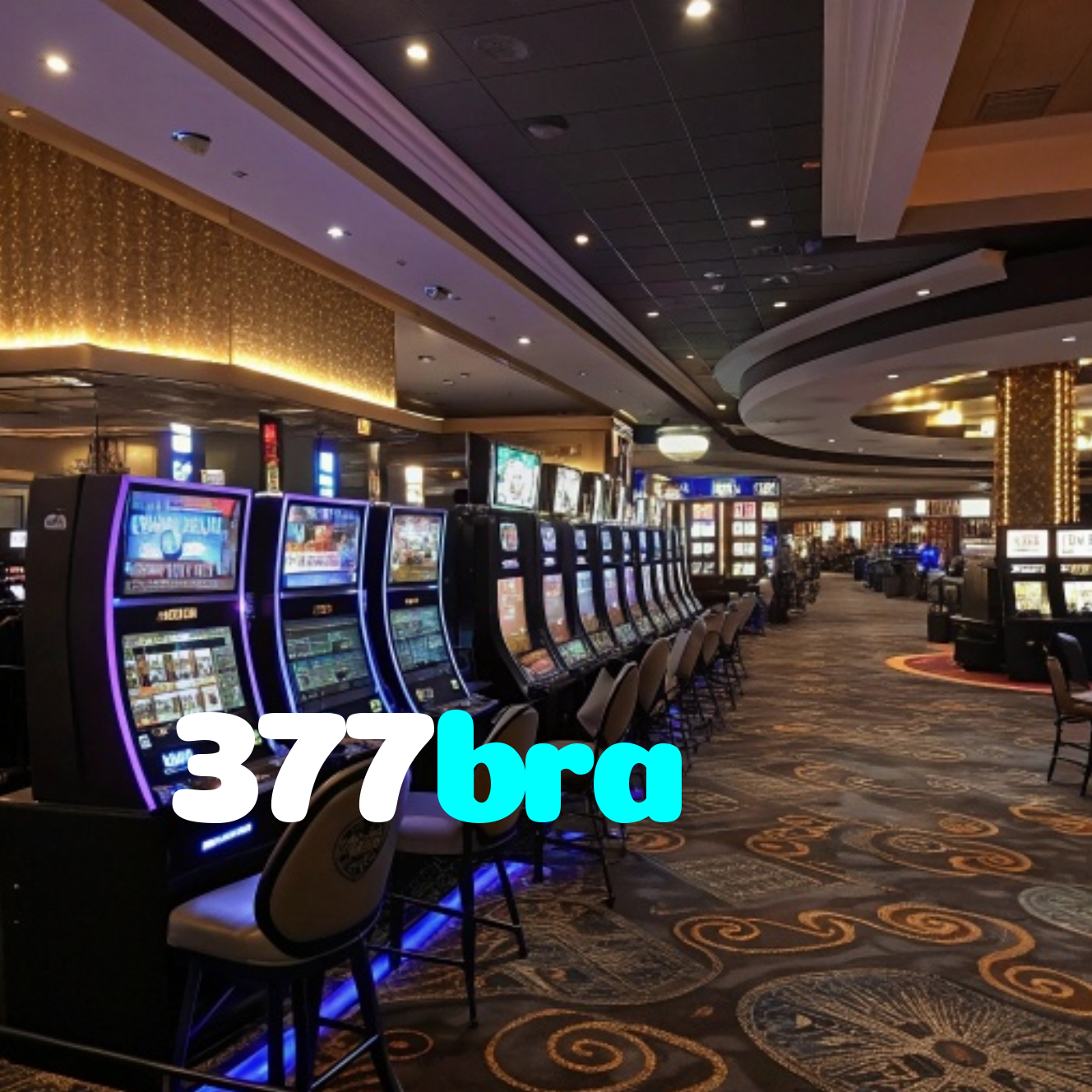 377bra