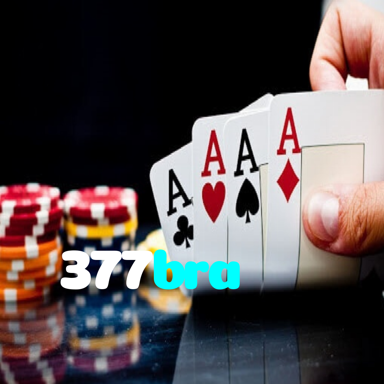 377bra