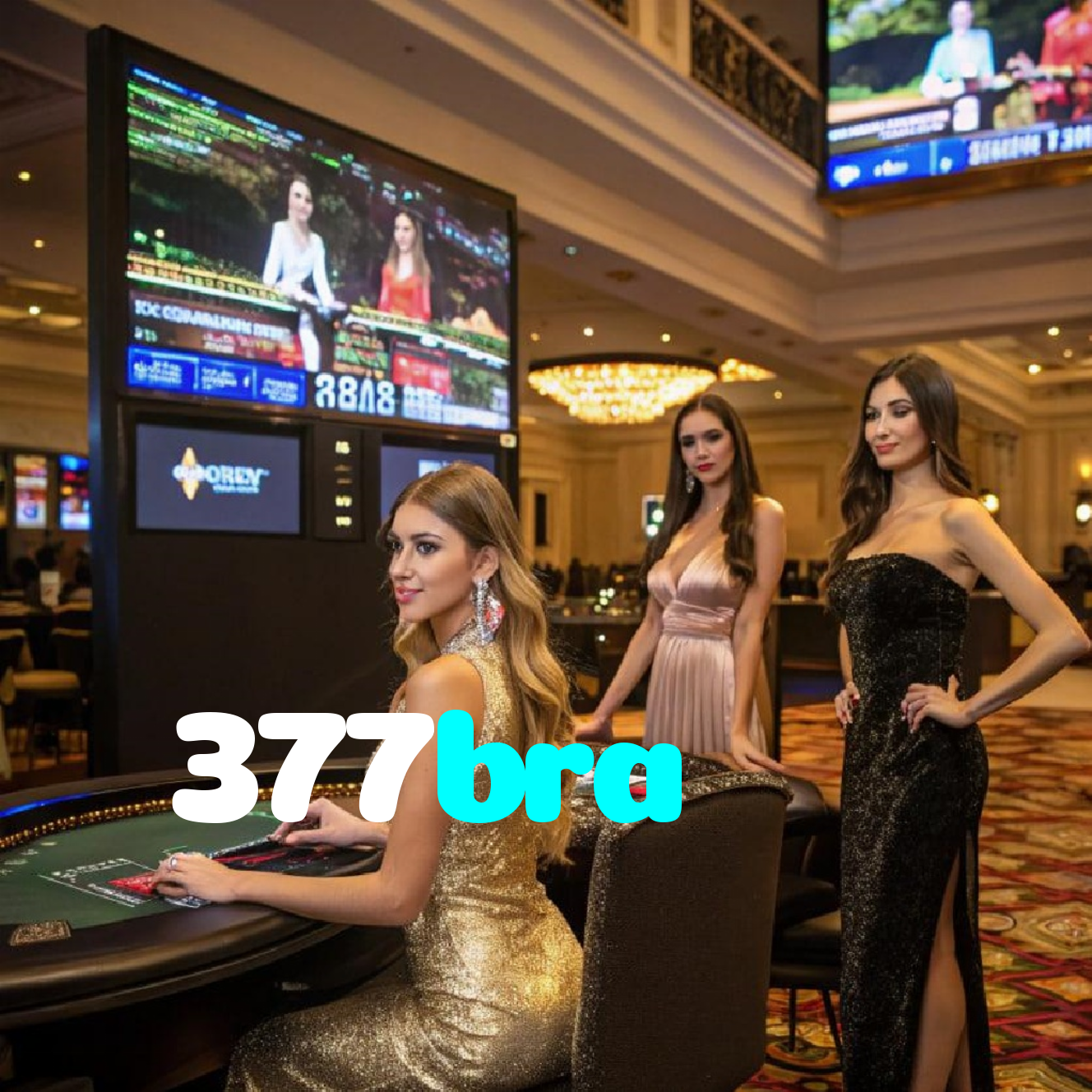 377bra